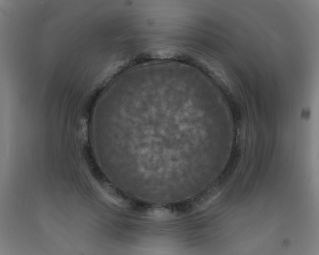 X0000092030598200709271610