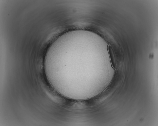 X0000092030599200709271610