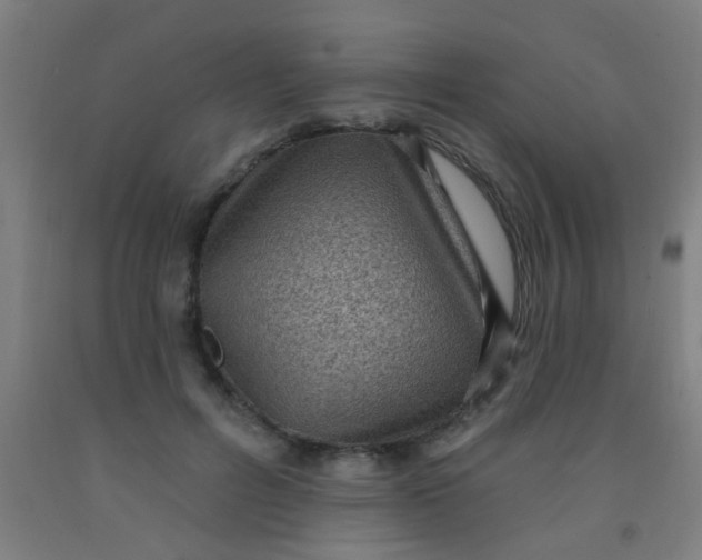 X0000092030600200709271610