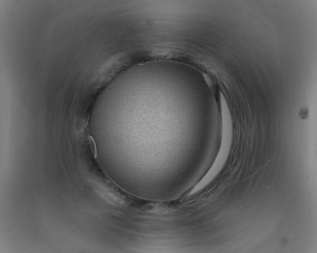 X0000092030601200709271610