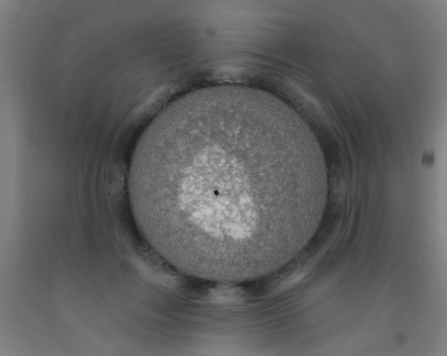 X0000092030603200709271610