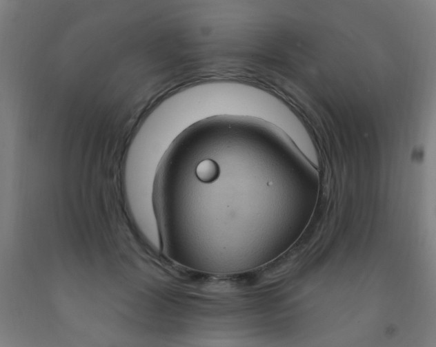 X0000092030604200709271610