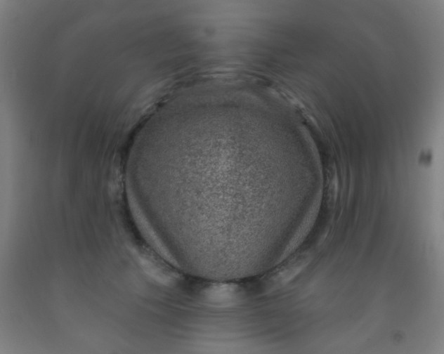 X0000092030609200709271610