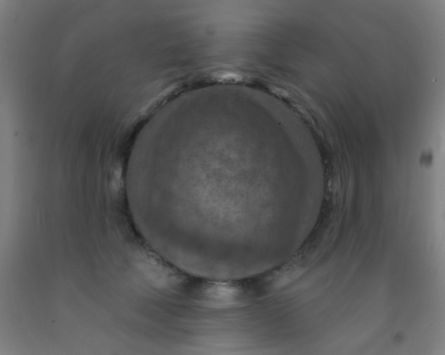 X0000092030610200709271610