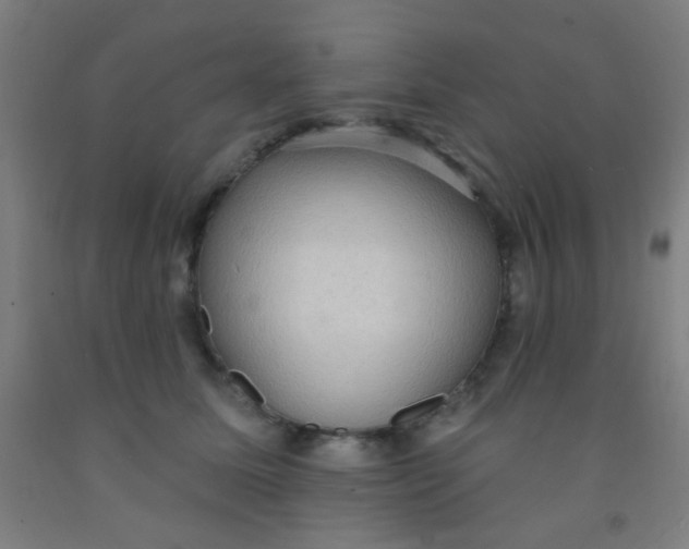 X0000092030611200709271610