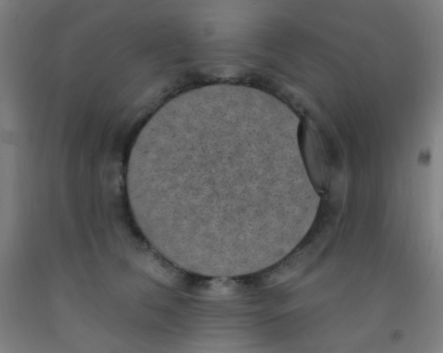 X0000092030612200709271610