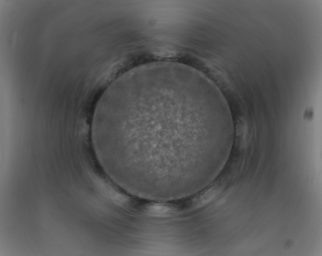 X0000092030614200709271610