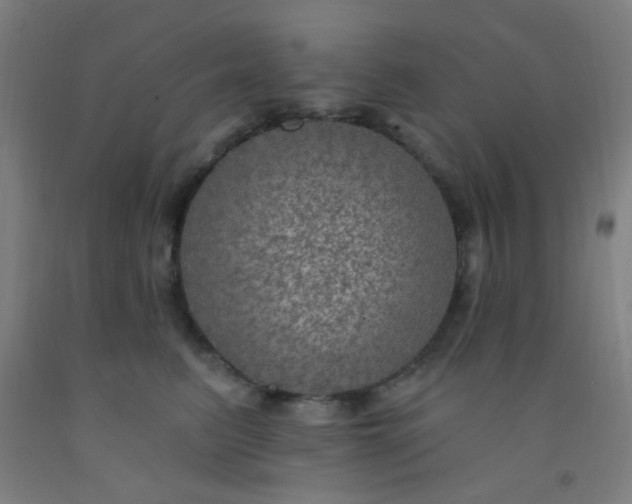 X0000092030615200709271610