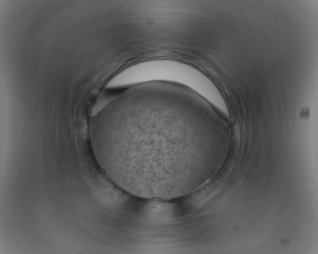 X0000092030617200709271610