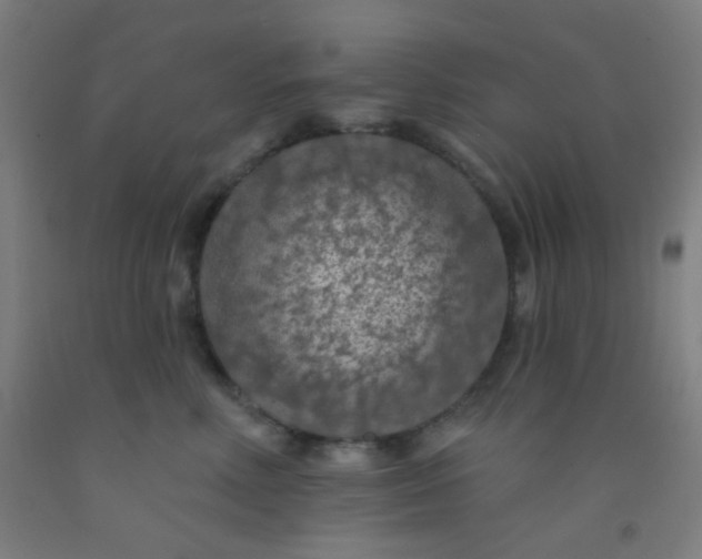 X0000092030618200709271610