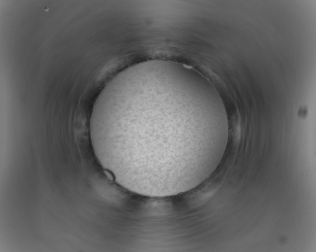 X0000092030619200709271610