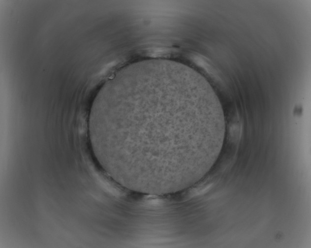 X0000092030620200709271610