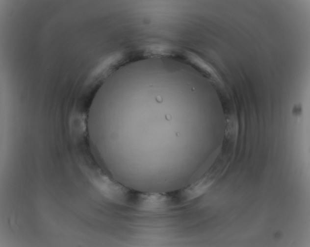 X0000092030621200709271610