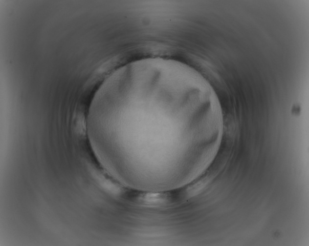 X0000092030622200709271610