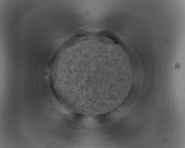 X0000092030624200709271610