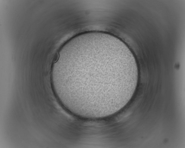 X0000092030625200709271610