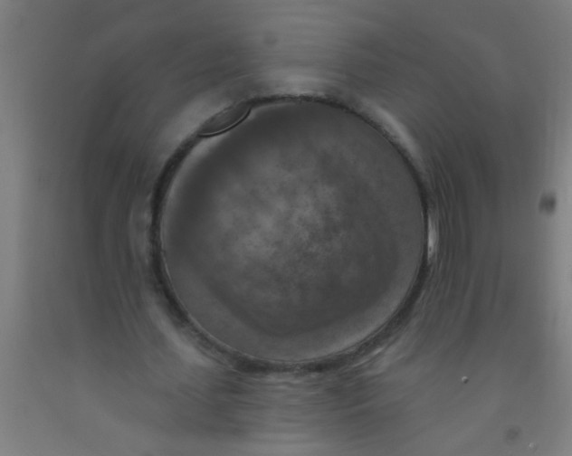 X0000092030627200709271610