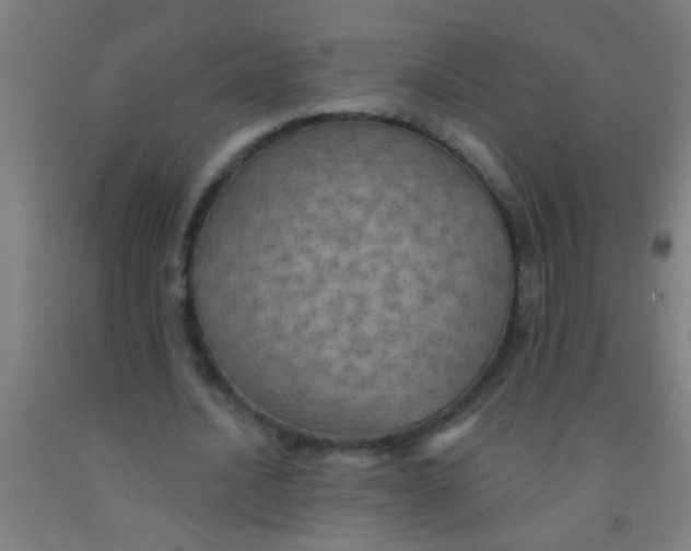 X0000092030628200709271610