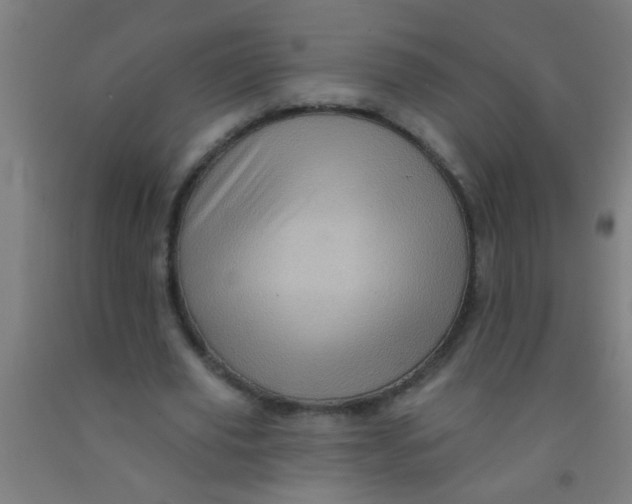 X0000092030629200709271610