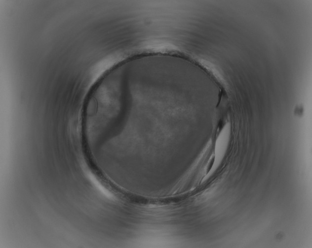 X0000092030630200709271610