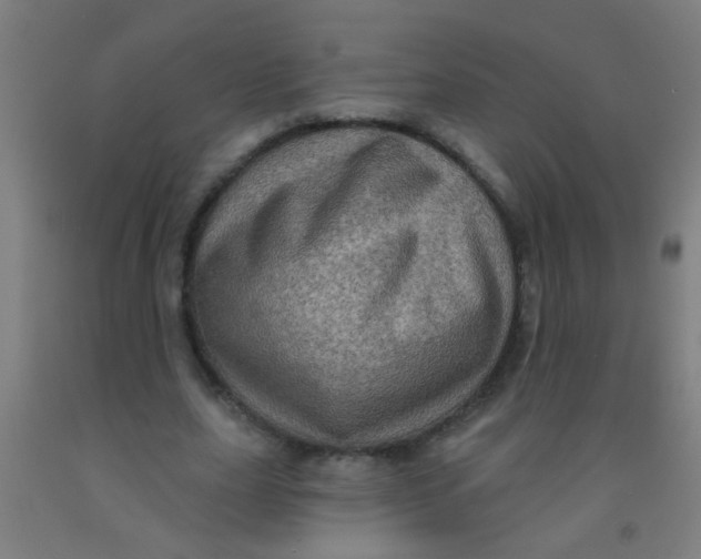 X0000092030631200709271610