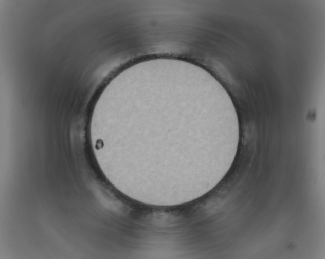 X0000092030632200709271610