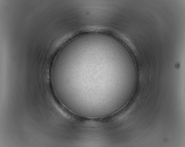 X0000092030633200709271610