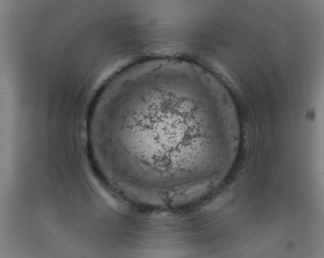 X0000092030634200709271610