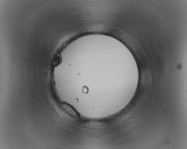 X0000092030636200709271610