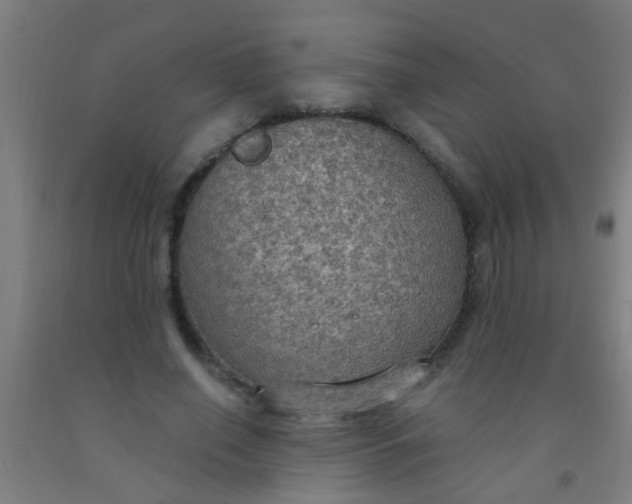 X0000092030638200709271610