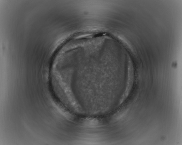 X0000092030640200709271610