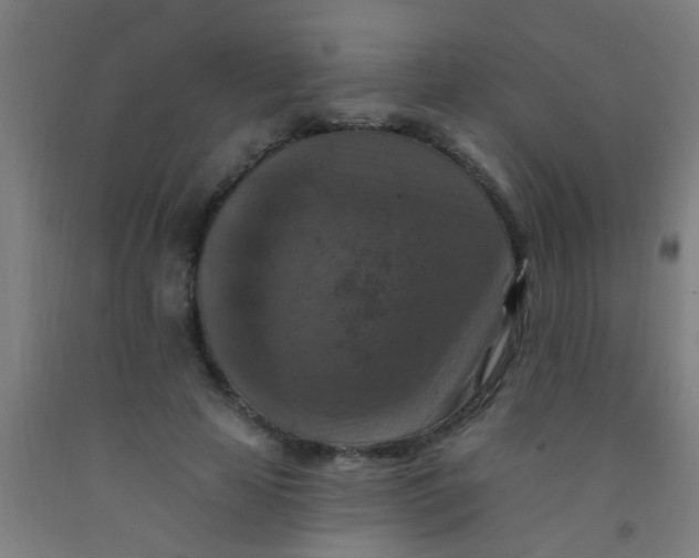 X0000092030641200709271610