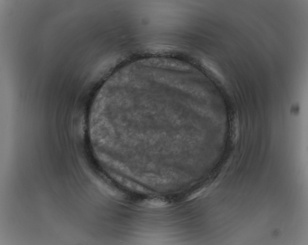 X0000092030644200709271610