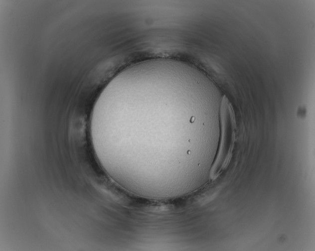 X0000092030646200709271610