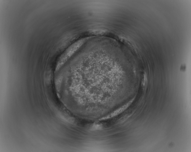 X0000092030647200709271610