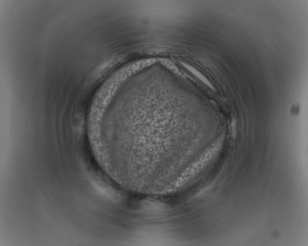 X0000092030648200709271610