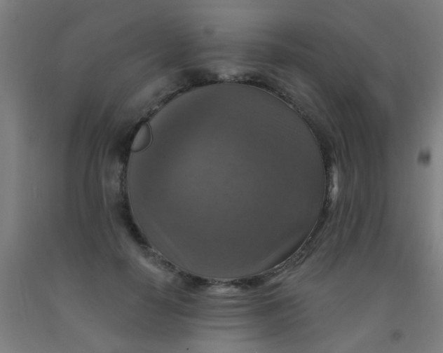 X0000092030650200709271610