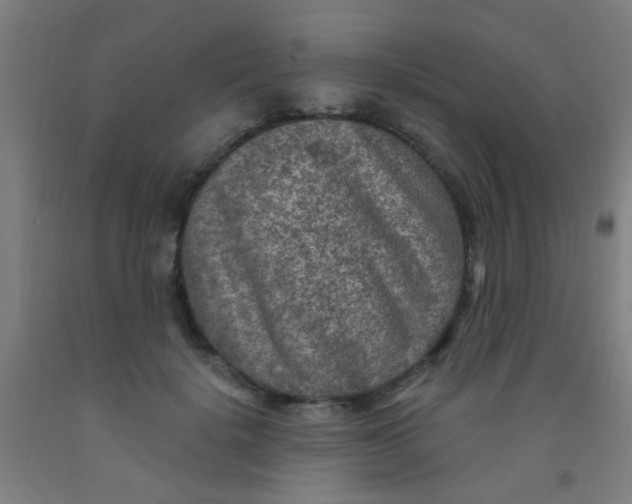 X0000092030652200709271610