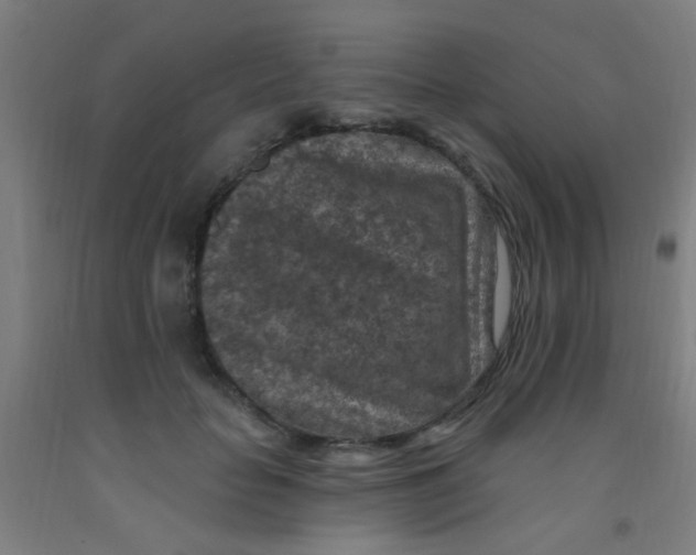 X0000092030653200709271610