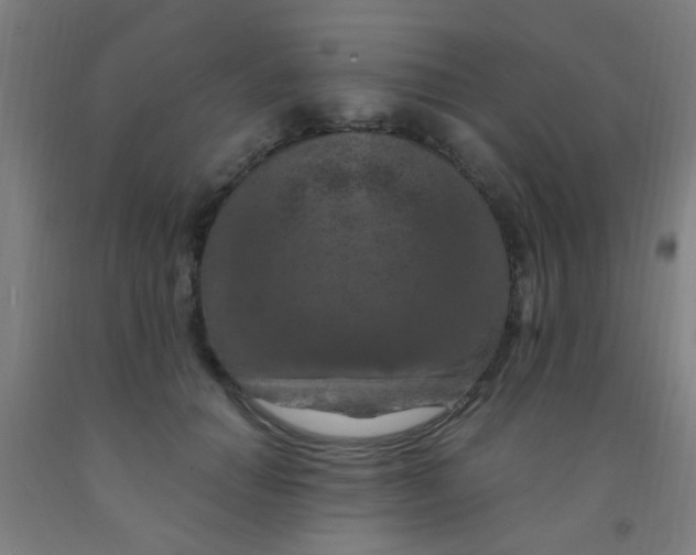 X0000092030654200709271610