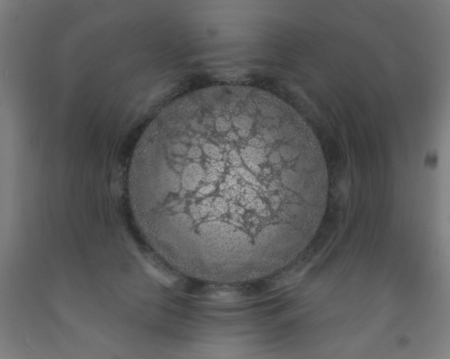 X0000092030658200709271610