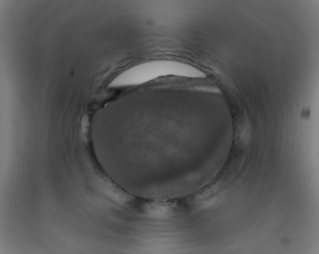 X0000092030661200709271610