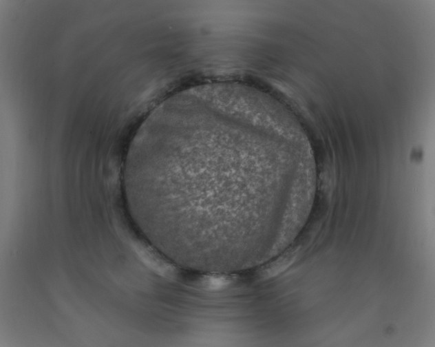 X0000092030662200709271610