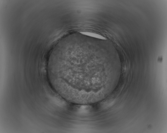 X0000092030663200709271610