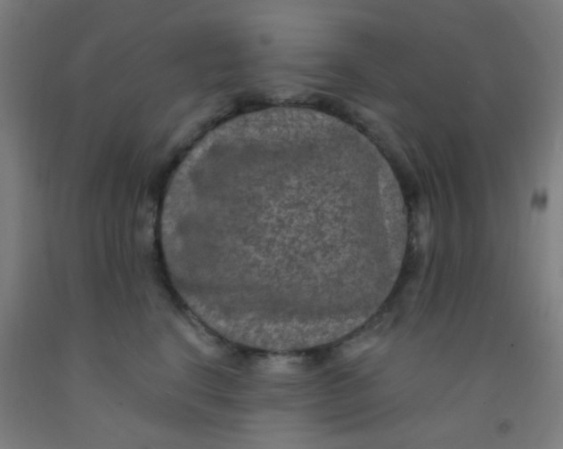 X0000092030664200709271610