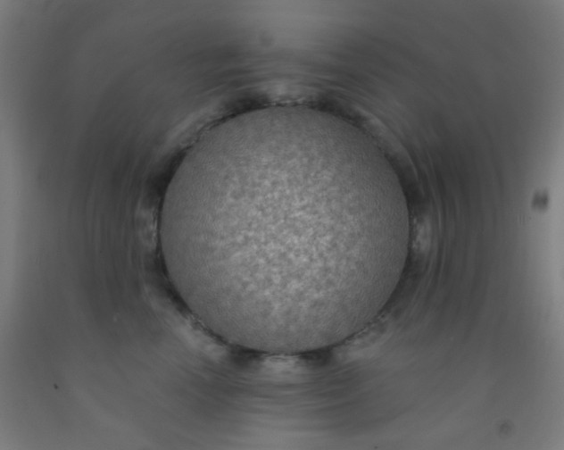 X0000092030666200709271610