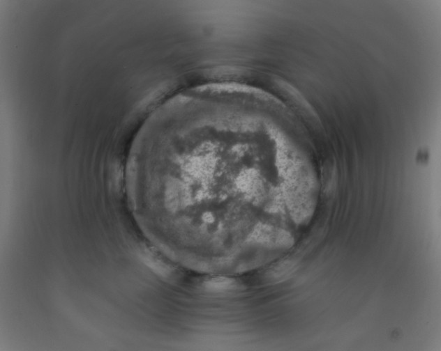 X0000092030669200709271610