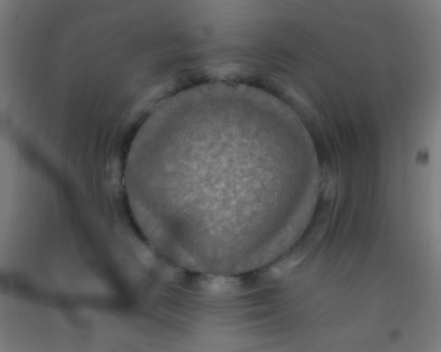 X0000092030670200709271610