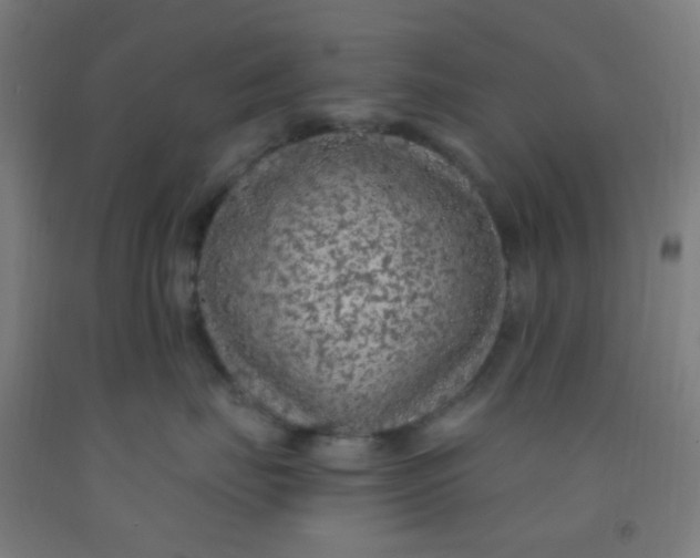 X0000092030671200709271610