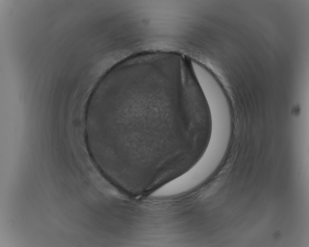 X0000092030673200709271610